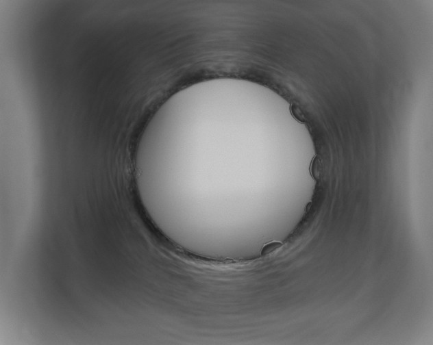 X0000110900040200906180955