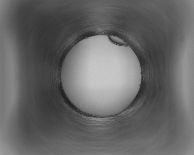 X0000110900044200906180955