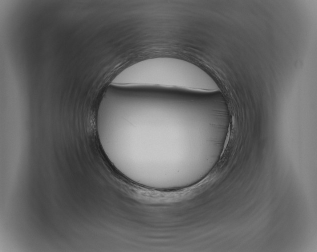 X0000110900048200906180955