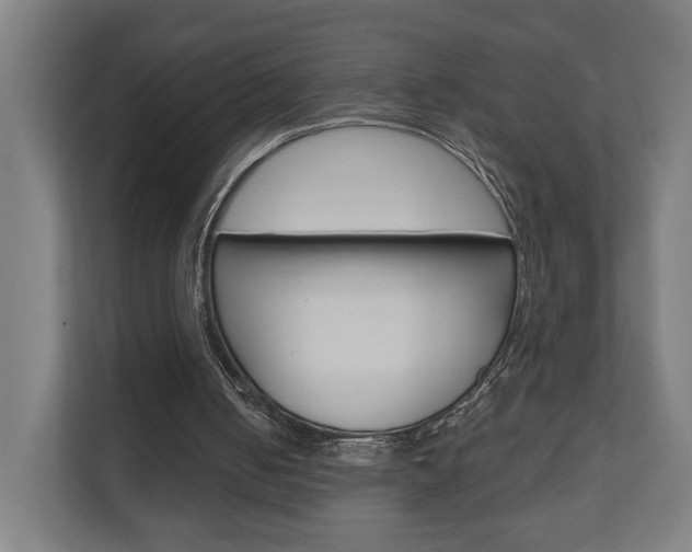 X0000110900050200906180954