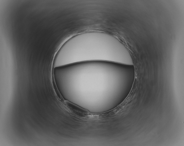 X0000110900052200906180954