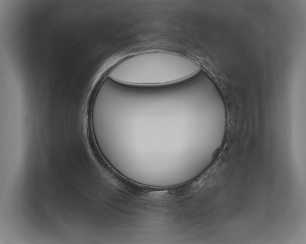 X0000110900054200906180954