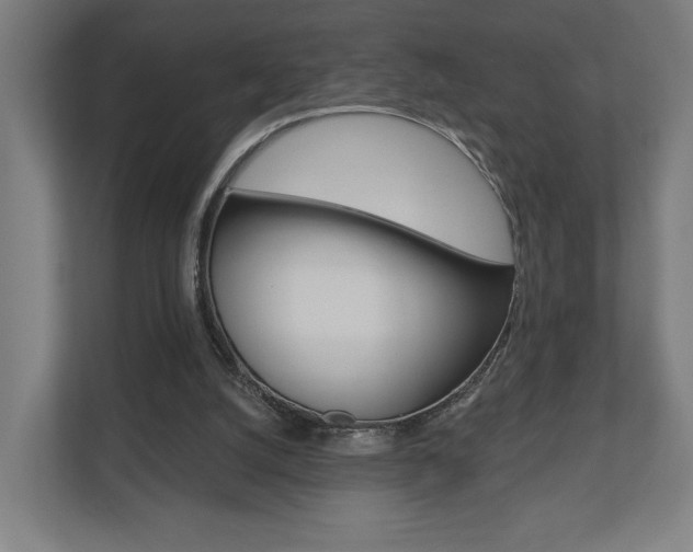 X0000110900056200906180954