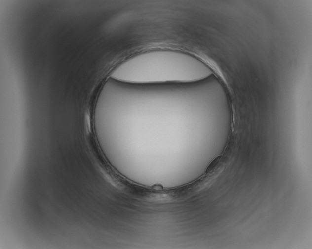 X0000110900061200906180954