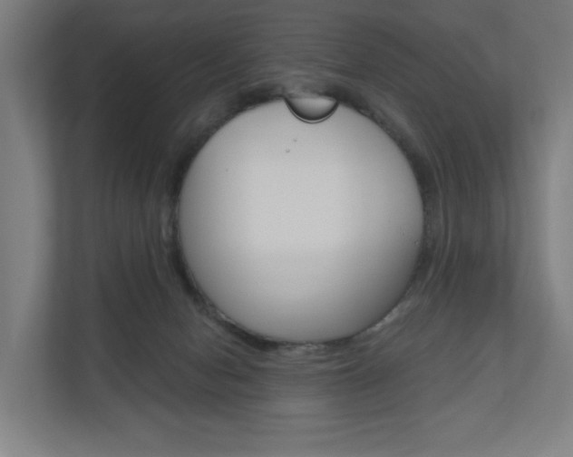 X0000110900078200906180954