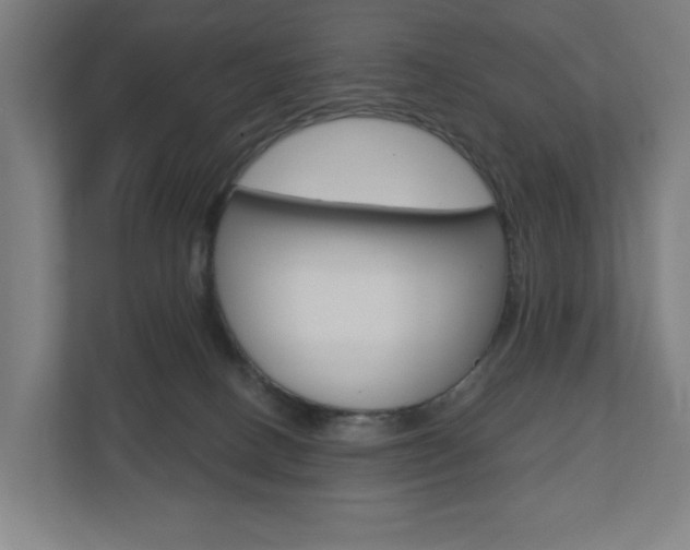 X0000110900082200906180954