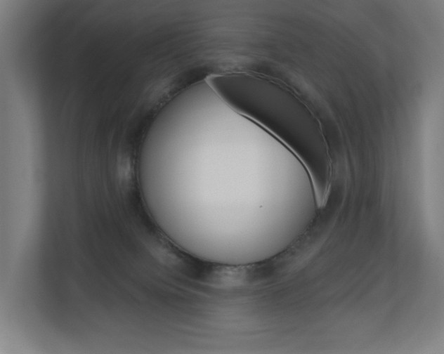 X0000110900084200906180954