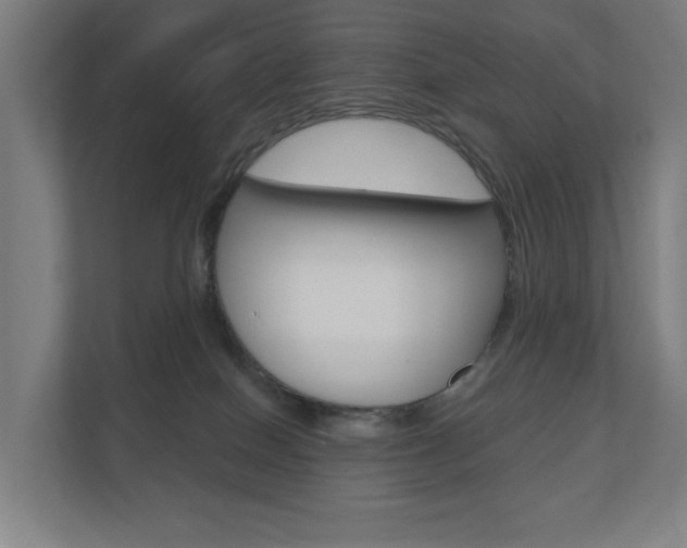 X0000110900086200906180954