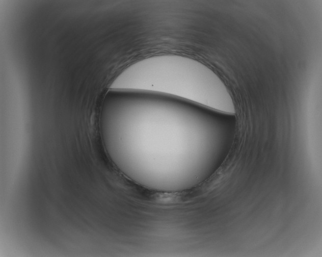 X0000110900088200906180954