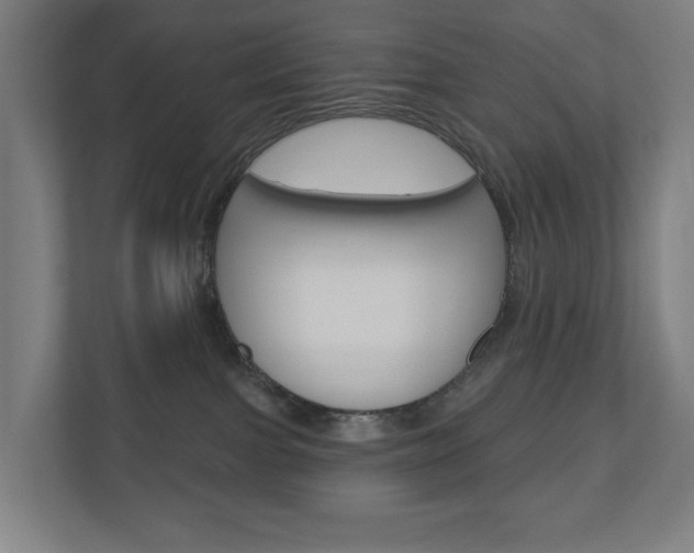 X0000110900091200906180954