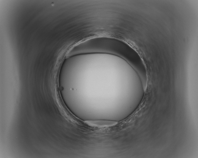 X0000110900097200906180954