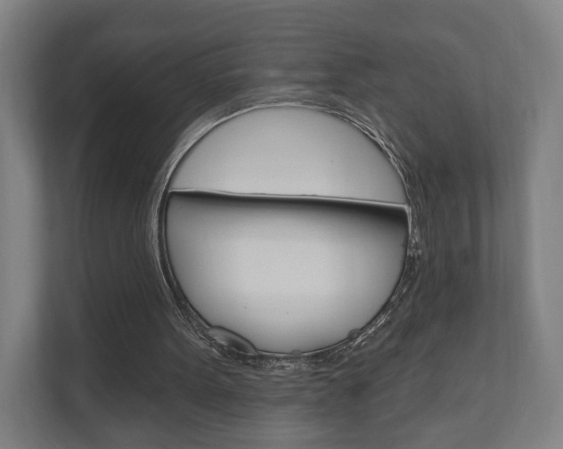 X0000110900099200906180954