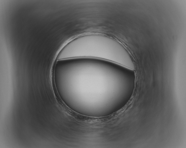 X0000110900100200906180954