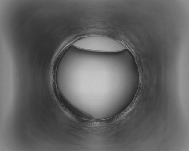 X0000110900101200906180954