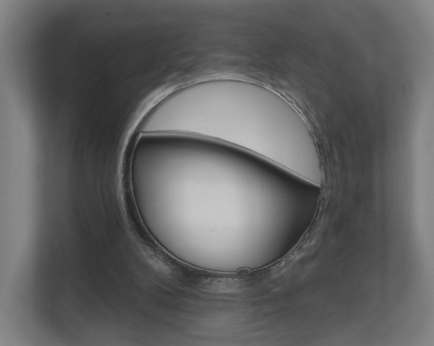 X0000110900104200906180954