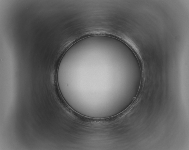 X0000110900105200906180954