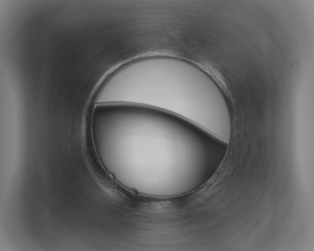X0000110900108200906180954