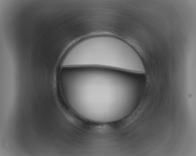 X0000110900112200906180954