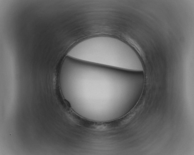 X0000110900113200906180954