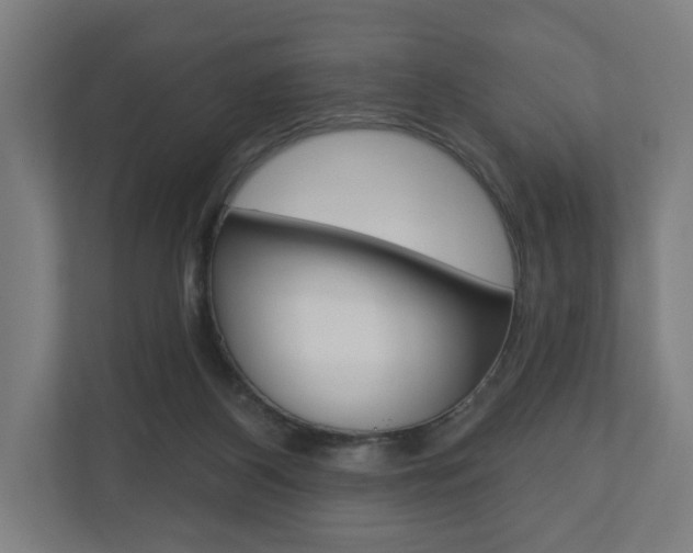 X0000110900116200906180954
