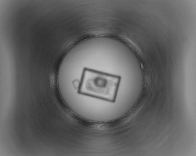 X0000110900117200906180954