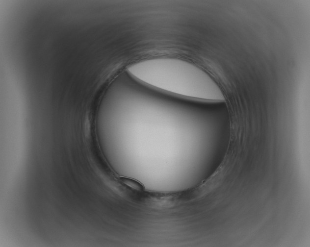 X0000110900120200906180954