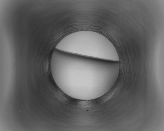 X0000110900139200906180953