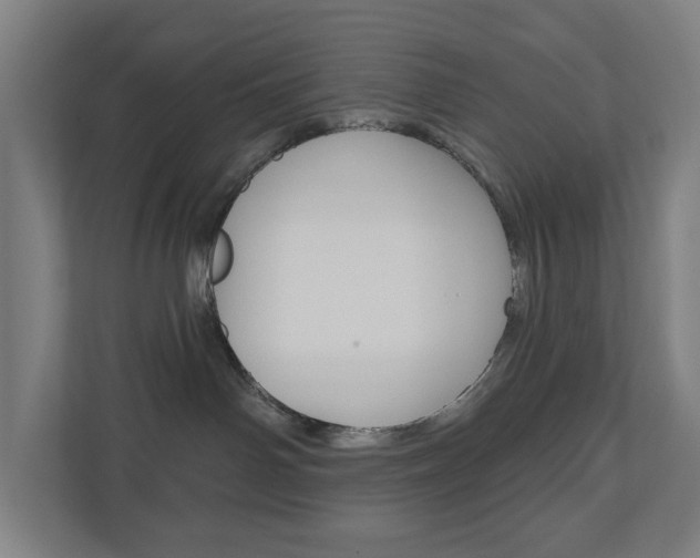 X0000110900142200906180953