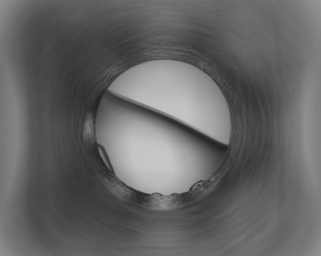 X0000110900143200906180953