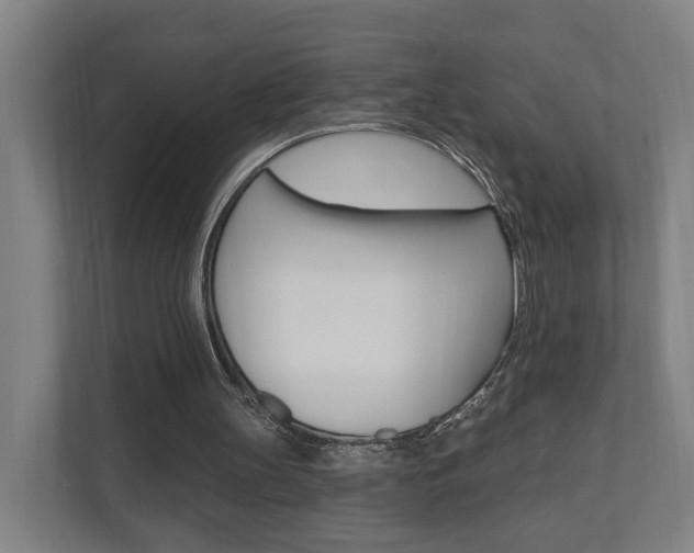X0000110900147200906180953
