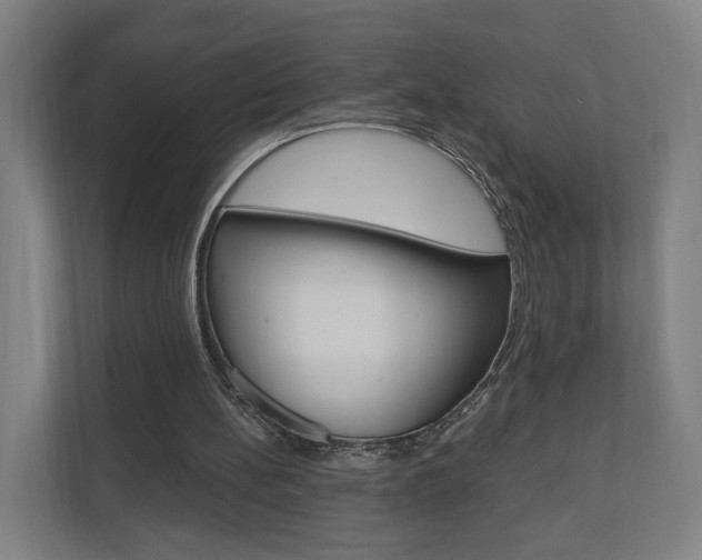 X0000110900148200906180953