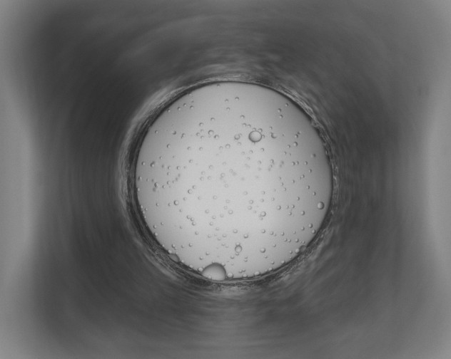 X0000110900149200906180953