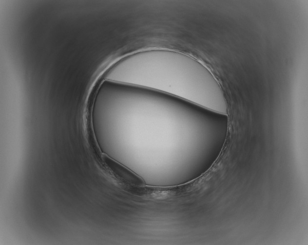 X0000110900152200906180953