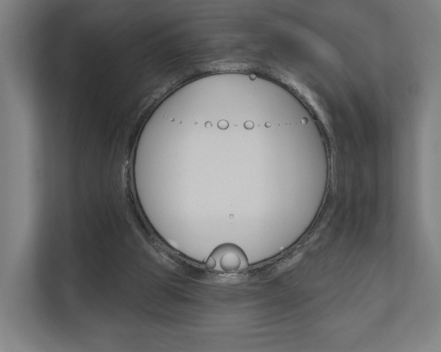 X0000110900153200906180953