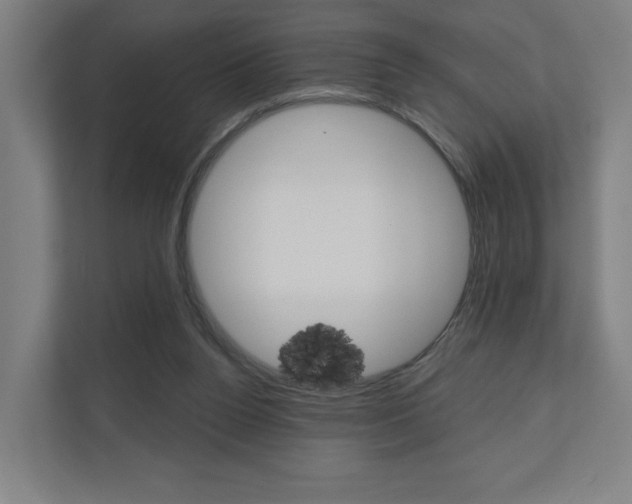 X0000110900160200906180953