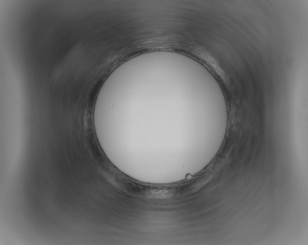 X0000110900161200906180953