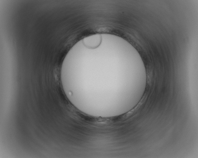 X0000110900175200906180953