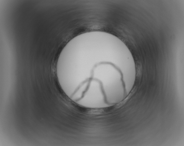 X0000110900179200906180953