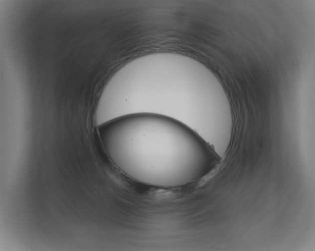X0000110900180200906180953
