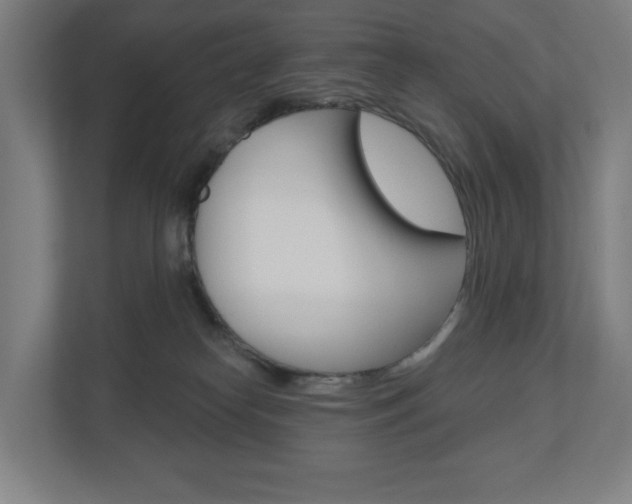 X0000110900182200906180953