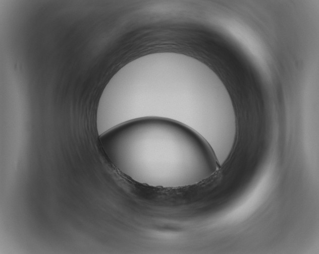 X0000110900190200906180953
