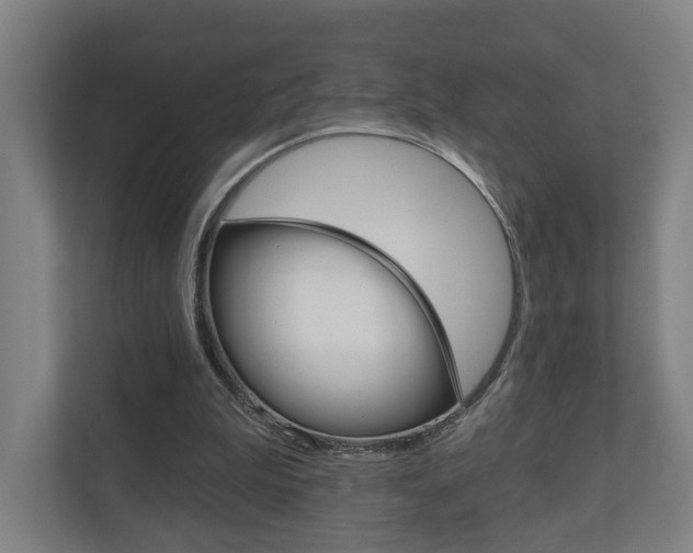 X0000110900199200906180953