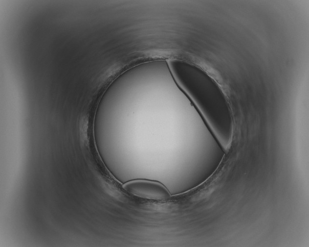 X0000110900201200906180953