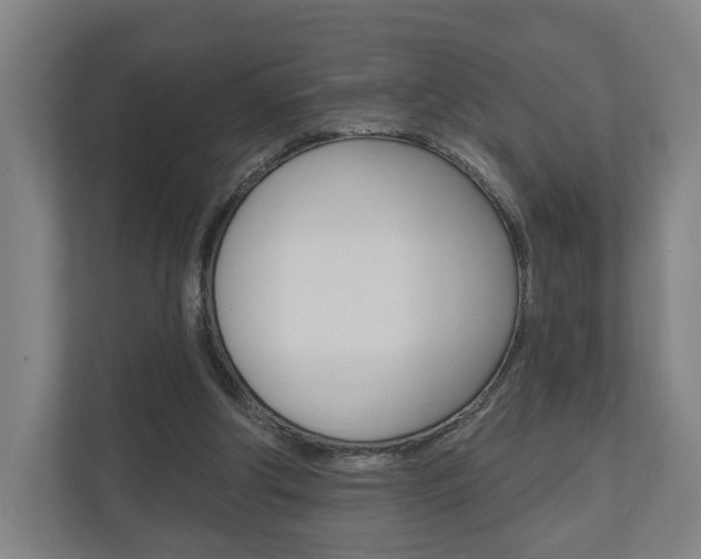 X0000110900202200906180953