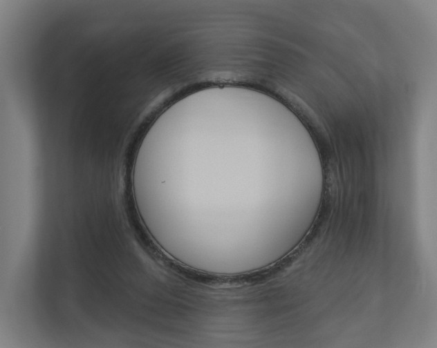 X0000110900208200906180952