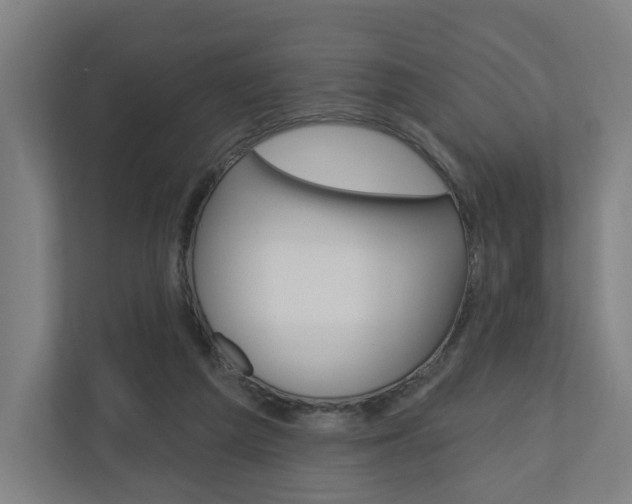 X0000110900209200906180952