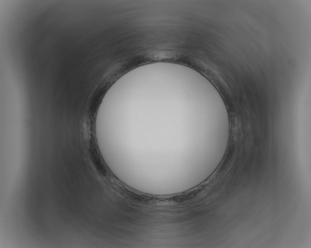 X0000110900210200906180952