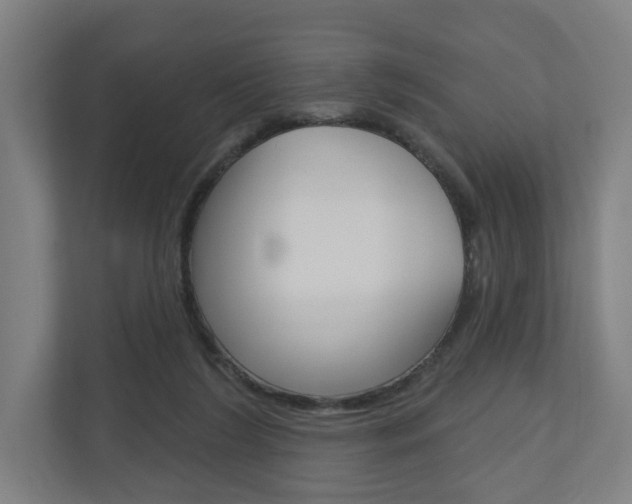 X0000110900212200906180952
