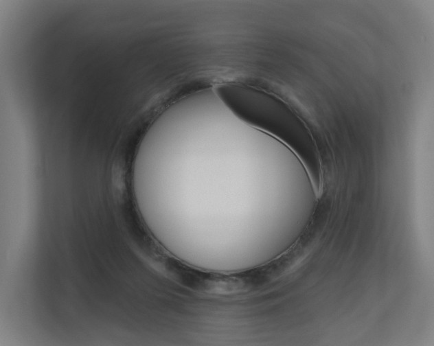 X0000110900215200906180952