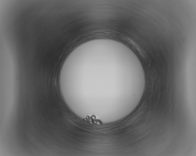 X0000110900217200906180952